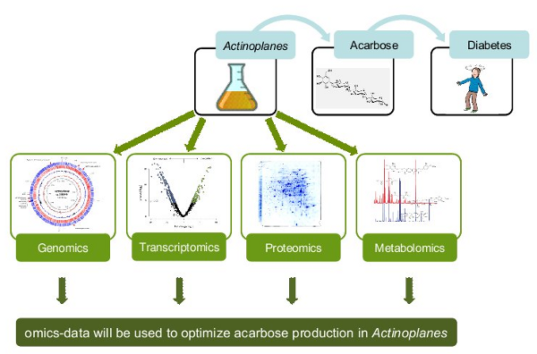 Actinoplanes project