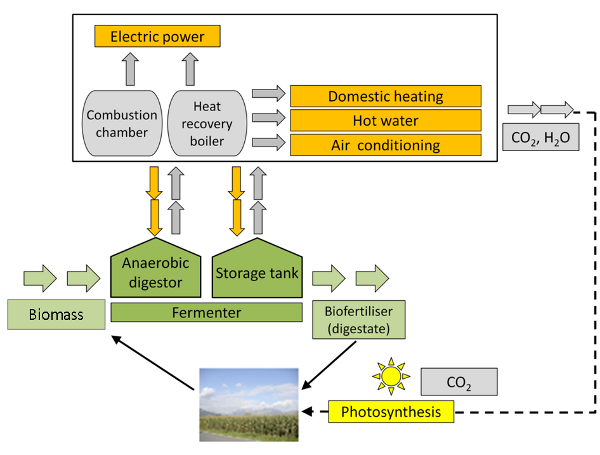 Biogas -> power and heat