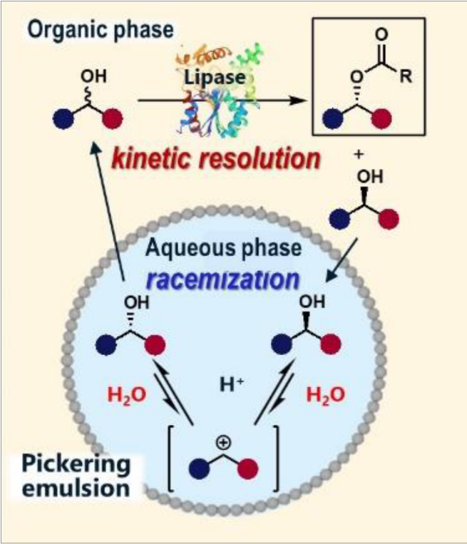 kinetic resolution