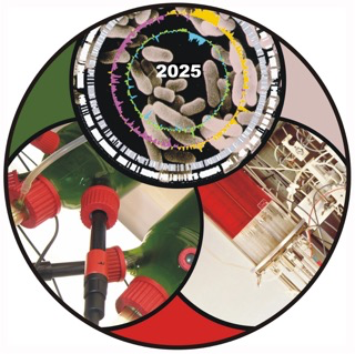 2025 ICRC logo web