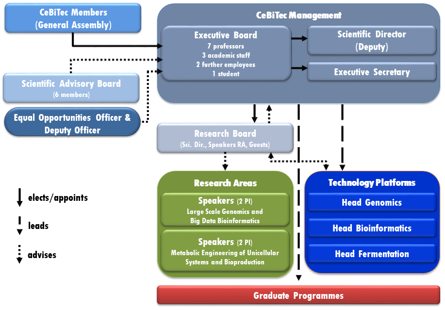 organigram