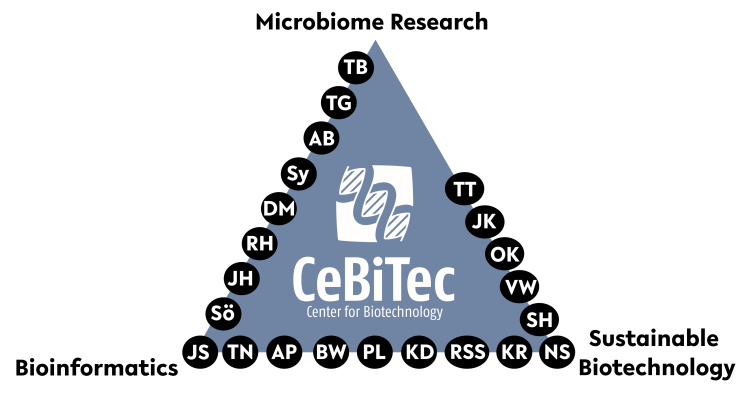 research areas triangle 750px