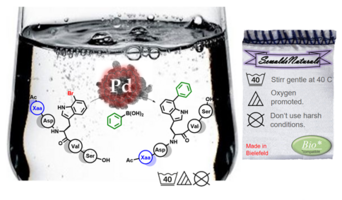 Peptide modification