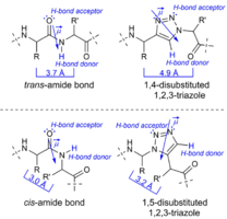 Peptidomimetics