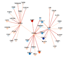 Peptide modification